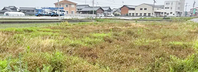 庭園管理・庭石の撤去